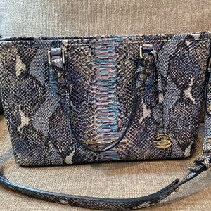 Brahmin Mini Asher Crossbody Handbag